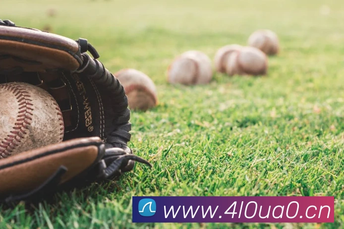 星空体育在线观看平台平台生态图